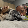 Lewis Hamilton proživljava teške trenutke, njegov voljeni pas Roscoe je u komi