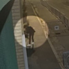 Uhapšeni Srbijanci ostavljali svinjske glave ispred džamija u Parizu, jedan snimljen dok to radi