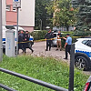 Drama u Banjoj Luci: Uhapšen visoki funkcioner MUP-a RS-a, sa sinovima napao policajce