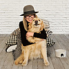 Diane Keaton navodno je u testamentu svom psu Reggieju ostavila pet miliona dolara