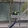 Obavljen snimak koji prikazuje trenutak bijega pljačkaša iz Louvrea