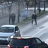 Jedan od pljačkaša zlatare u Kalesiji pronađen mrtav, partneri ga izbacili iz auta