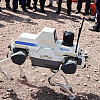Kineski robotski pas se može kretati po surovom terenu i tražiti žrtve katastrofa