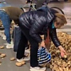 Nevjerovatne scene u Briselu: Stotine kilograma krompira završilo na ulicama nakon protesta, pokupili ih građani