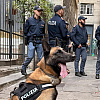 Pogledajte jednu od najvećih policijskih akcija u Italiji: Zaplijenjeno 1,4 tone droge, stotine uhapšenih