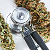 Šta znači odluka bh. vlasti o legalizovanju upotrebe kanabisa u medicinske svrhe