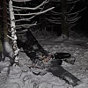 Rusi tvrde da imaju dokaze: Navigacija jednog od srušenih dronova za metu imala Putinovu rezidenciju