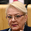 Bradara: U Federaciji BiH su odnosi relaksirani i nacionalno i politički