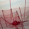 Spust u Crans Montani otkazan nakon pada Lindsey Vonn, Muzaferija neće nastupiti