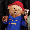 Medo Paddington "ukrao" show na dodjeli BAFTA-e: Ja sam prvi voditelj koji je razlio marmeladu po nagradi