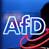 AfD organizuje panel diskusiju o BiH u Bundestagu, jedan od govornika bit će Goran Selak