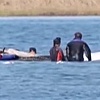 Spasilačka misija na obalama Njemačke: Povratak kita Timmyja u otvoreno more