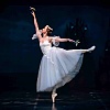 Balet "Giselle" će 16. maja biti izveden u Narodnom pozorištu Sarajevo
