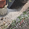 Haos u Sloveniji: Snažno nevrijeme praćeno gradom nosilo krovove i čupalo stabla