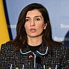Ćudić dobila podršku iz 13 evropskih zemalja, Vijeće Evrope istraživat će "Sarajevo safari"