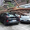 Ekstremni vremenski uslovi podijelili Italiju: U Rimu tornado, na Siciliji ljetne vrućine