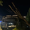 Sarajevo: Drvo palo na trolejbus na Trgu Austrije, javni prijevoz funkcioniše bez zastoja