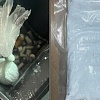 U Bugojno zaplijenjeno više od pola kilograma speeda