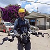 Kineske robotske zmije gmižu po električnim vodovima i otkrivaju kvarove