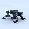 Četveronožni robotski pas hodao po arktičkim ledenim pločama