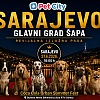 Sarajevo 27. juna dobija prvu revijalnu izložbu pasa: Svaki učesnik odlazi kući s poklonom