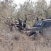 Izraelski buldožeri iščupali stotine stabala maslina na Zapadnoj obali, od čega žive Palestinci