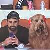 Pas Brodie ukrao show na utakmici SP-a: Mnogi su se pitali kako je moguće da je na tribinama