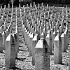 SARTR i Historijski muzej BiH performansom "Ostavi trag u njihova sjećanja" odaju počast ubijenim u genocidu u Srebrenici