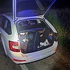 Granična policija BiH uhapsila državljanina Turske: Krijumčario šest stranaca, policajcu nudio novac
