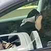 Vozačica Tesle snimljena kako spava pri vožnji brzinom od 100 km/h, u automobilu bila i djeca