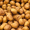 Bacite krompir što prije ako primijetite ove znakove