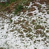 Centralnu i sjevernu BiH pogodilo nevrijeme: Led prekrio dijelove Vlašića