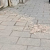 Sarajevo: Novo obrušavanje fasade, odlomio se dio zida u Titovoj ulici