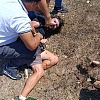 U Ljubuškom uhapšen muškarac osumnjičen za vandalizam u Međugorju