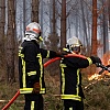 U skladu s kapacitetima: Bosna i Hercegovina ponudila pomoć Francuskoj za saniranje požara