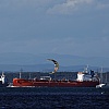 Globalni tankerski saobraćaj se mijenja, rat na Bliskom istoku traži promjenu ustaljenih ruta