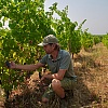 Veliki požari kod Bordeauxa pogodili vinsku industriju i turizam u Francuskoj