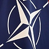 Pogledajte koliko građana podržava članstvo BiH u Evropskoj uniji i NATO-u
