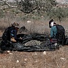Izraelski buldožeri čupali stabla maslina u palestinskim selima pred berbu: Uništeno 300 dunuma zasada