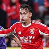 Veliki transfer na pomolu: Newcastle počeo pregovore s Benficom za Amara Dedića