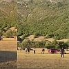 Uhapšen Željko Vujović, osumnjičen za pokušaj teškog ubistva na konjskim trkama u Bileći