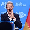 Deportacije, ukidanje eura, izlazak iz eurozone i Schengena: Weidel najavila planove za Njemačku ako AfD dođe na vlast