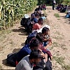 Granična policija BiH pronašla 61 migranta kod Kozarske Dubice: Dolaze iz Bangladeša, Indije, Pakistana...