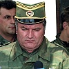 Udruženje žrtava genocida: Mladićevo naslijeđe su masovne grobnice, žrtve moraju imati posljednju riječ