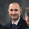 Velike vijesti iz Torina: Chiellini potvrdio da Alajbegović dobija šansu nakon povrede Yildiza