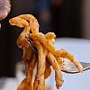 Naučnici su identifikovali jedan protein koji može kontrolisati želju za masnom hranom