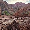 Najmanje 15 osoba nestalo nakon što su američki Grand Canyon pogodile iznenadne bujične poplave