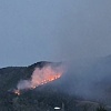 Požar u Banjoj Luci: Gori šuma u naselju Vrbanja, na teren izašla četiri vatrogasna vozila