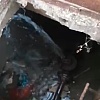 Stanovnici Trga heroja u Sarajevu tvrde da enormna količina pitke vode već godinu otječe "u prazno": 20 puta smo zvali ViK